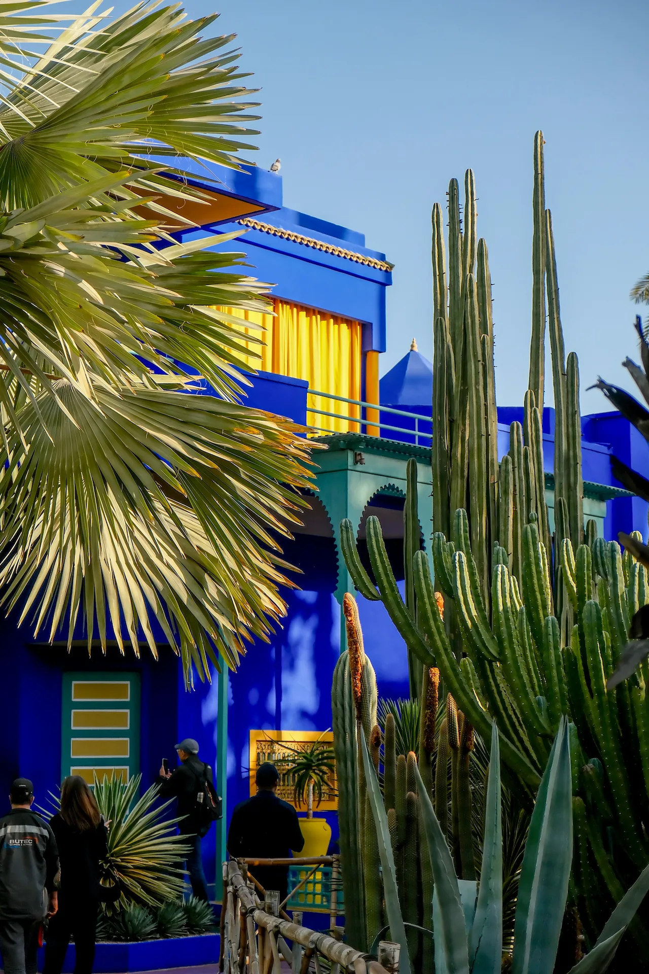 Jardin Majorelle