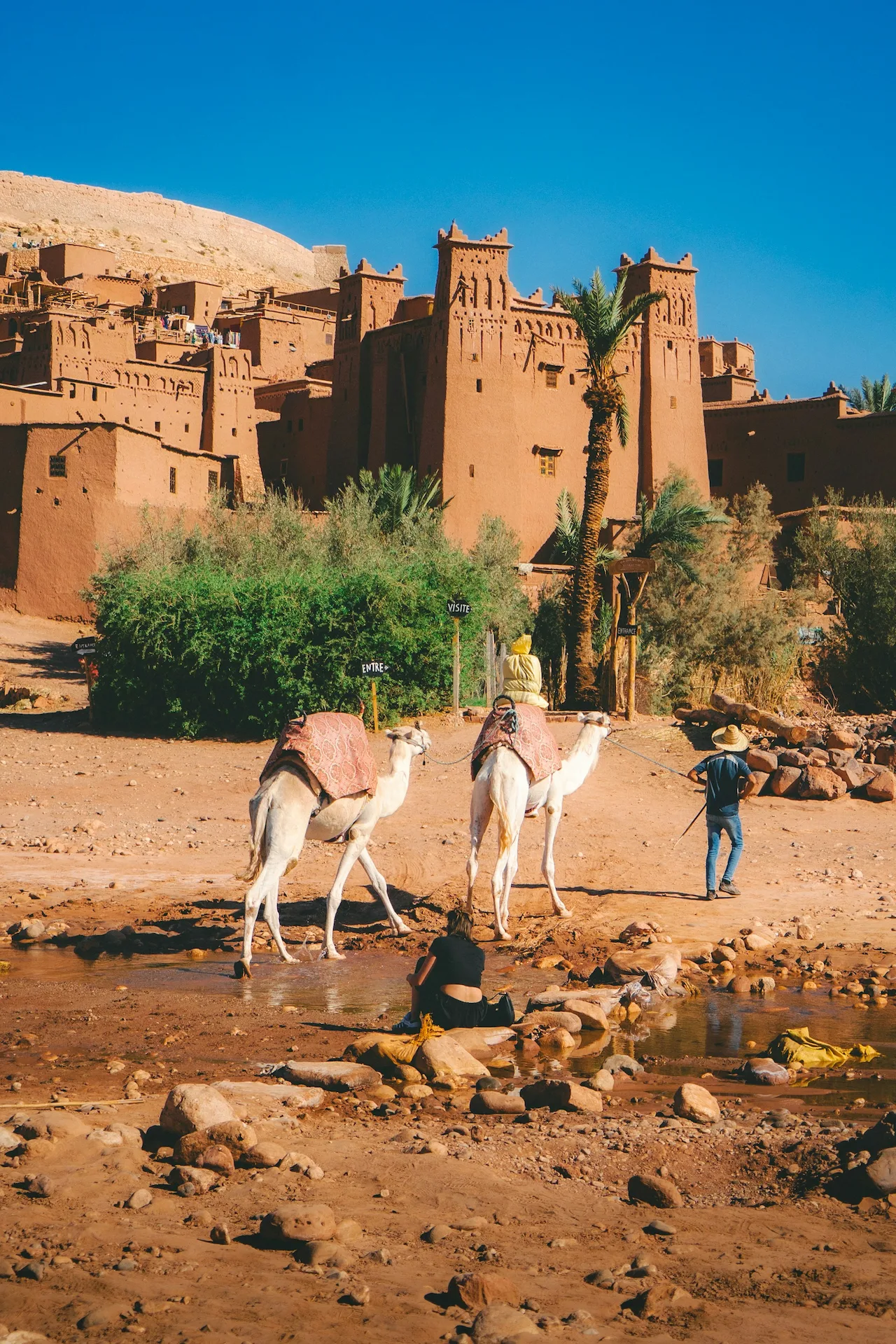 Palmeraie di Marrakech