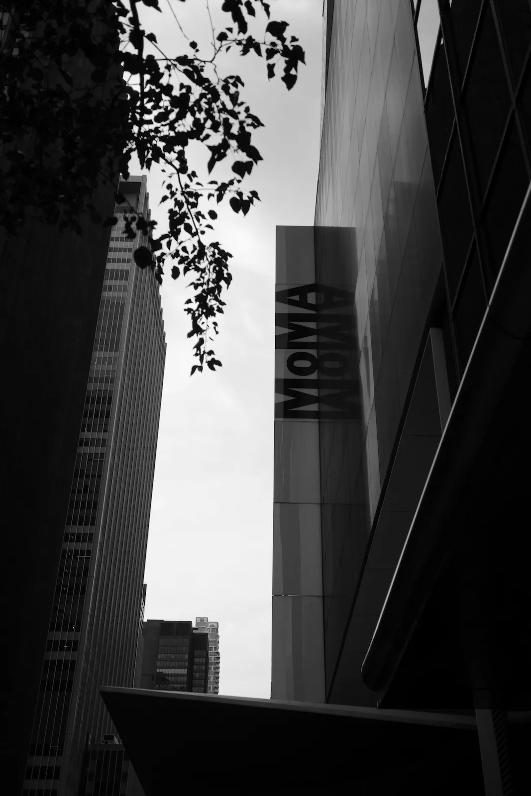 MoMA, capolavori moderni e contemporanei