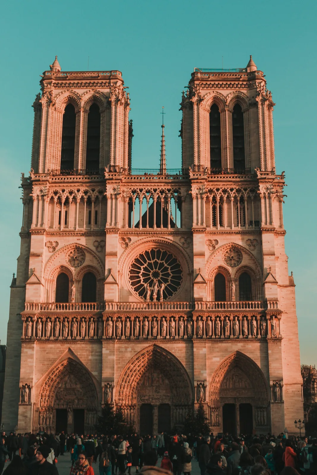Cattedrale di Notre-Dame (esterni e area Île de la Cité)