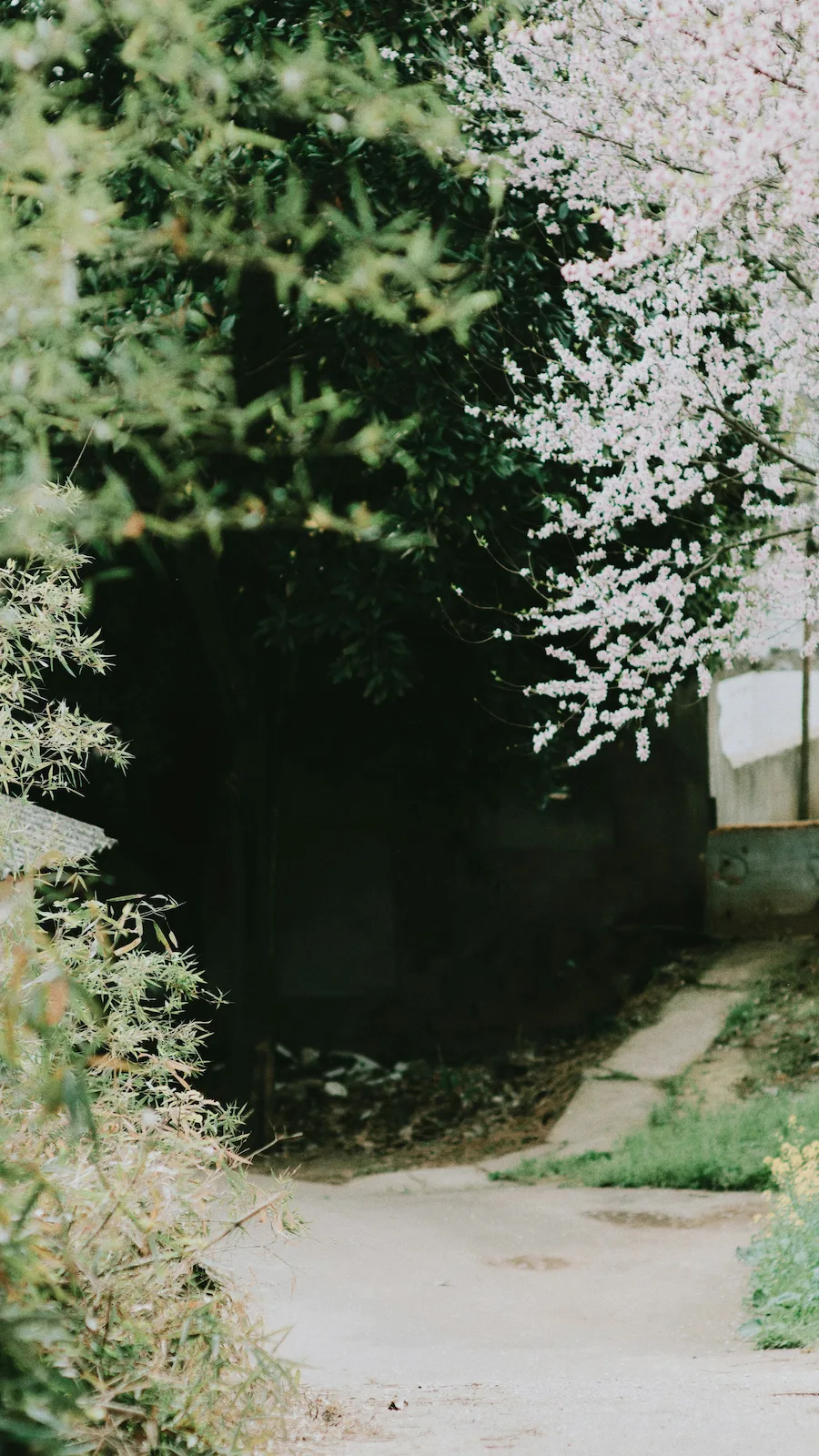Escursioni a Nikko e Kamakura