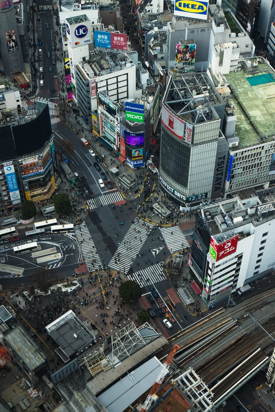Shibuya Sky e crossing dall’alto